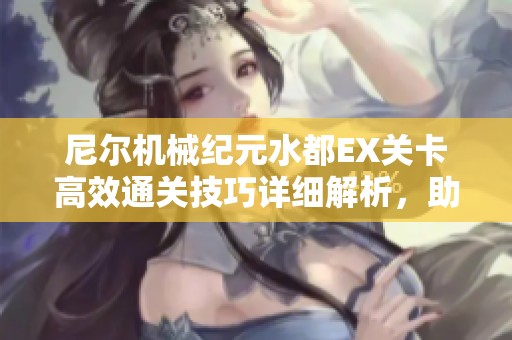 尼尔机械纪元水都EX关卡高效通关技巧详细解析，助你轻松过关攻略分享