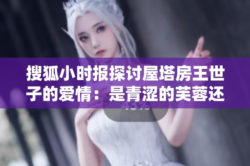 搜狐小时报探讨屋塔房王世子的爱情：是青涩的芙蓉还是迷人的花容