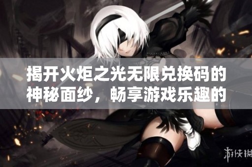 揭开火炬之光无限兑换码的神秘面纱，畅享游戏乐趣的实用指南