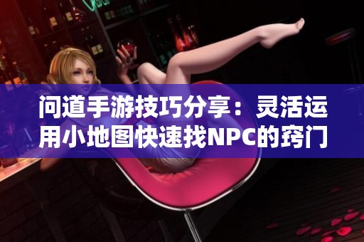 问道手游技巧分享：灵活运用小地图快速找NPC的窍门与秘诀