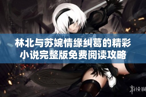 林北与苏婉情缘纠葛的精彩小说完整版免费阅读攻略