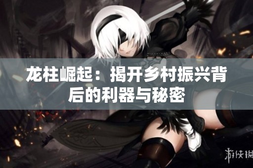 龙柱崛起：揭开乡村振兴背后的利器与秘密