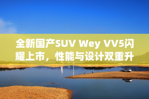 全新国产SUV Wey VV5闪耀上市，性能与设计双重升级