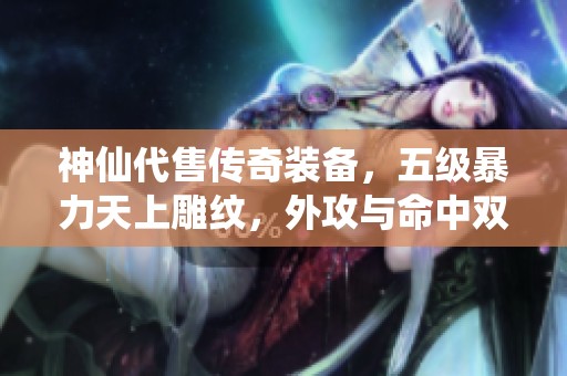 神仙代售传奇装备，五级暴力天上雕纹，外攻与命中双提升