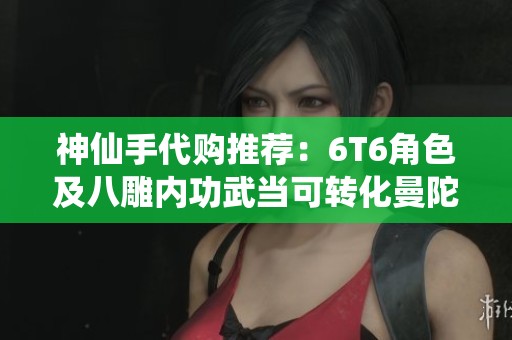 神仙手代购推荐：6T6角色及八雕内功武当可转化曼陀