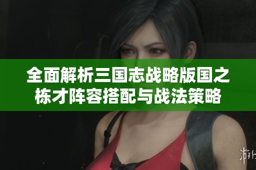 全面解析三国志战略版国之栋才阵容搭配与战法策略