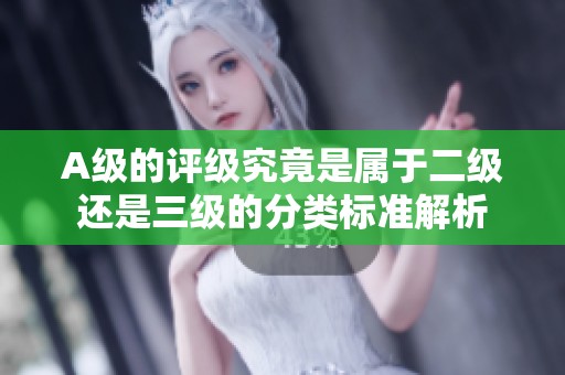 A级的评级究竟是属于二级还是三级的分类标准解析