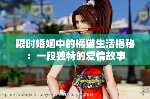 限时婚姻中的橘猫生活揭秘：一段独特的爱情故事