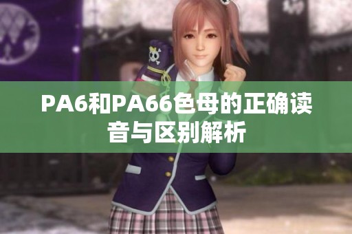PA6和PA66色母的正确读音与区别解析