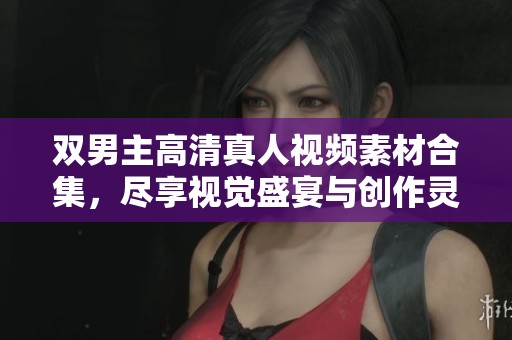 双男主高清真人视频素材合集，尽享视觉盛宴与创作灵感