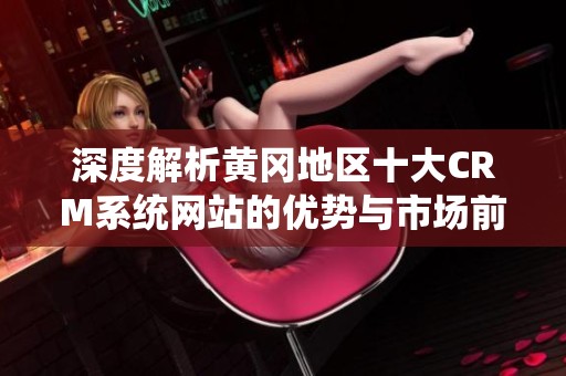 深度解析黄冈地区十大CRM系统网站的优势与市场前景