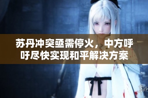 苏丹冲突亟需停火，中方呼吁尽快实现和平解决方案