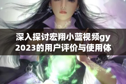 深入探讨宏翔小蓝视频gy2023的用户评价与使用体验