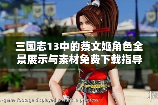 三国志13中的蔡文姬角色全景展示与素材免费下载指导