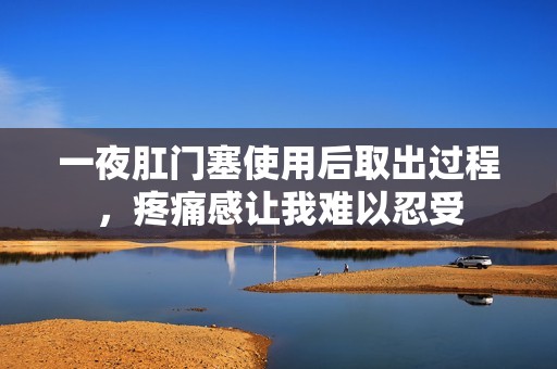 一夜肛门塞使用后取出过程，疼痛感让我难以忍受