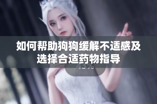 如何帮助狗狗缓解不适感及选择合适药物指导