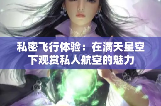 私密飞行体验：在满天星空下观赏私人航空的魅力