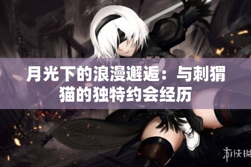 月光下的浪漫邂逅：与刺猬猫的独特约会经历