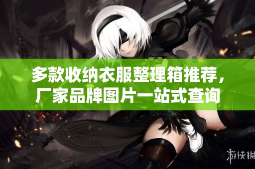 多款收纳衣服整理箱推荐，厂家品牌图片一站式查询