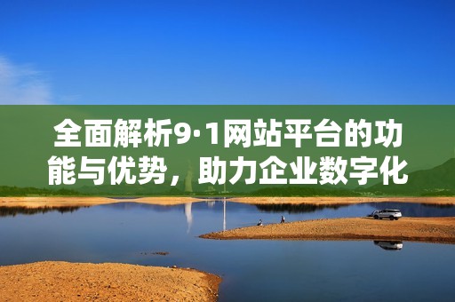 全面解析9·1网站平台的功能与优势，助力企业数字化转型