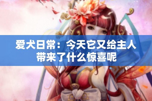 爱犬日常：今天它又给主人带来了什么惊喜呢