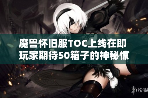 魔兽怀旧服TOC上线在即 玩家期待50箱子的神秘惊喜与冒险故事
