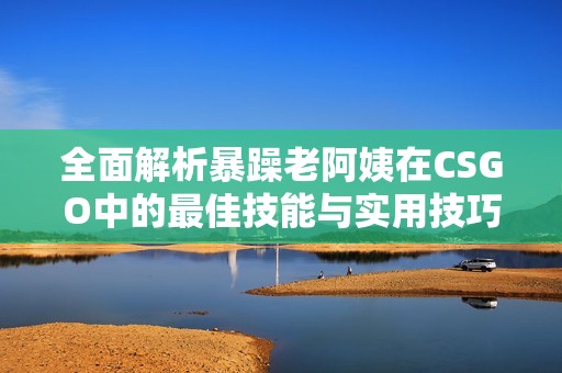 全面解析暴躁老阿姨在CSGO中的最佳技能与实用技巧推荐
