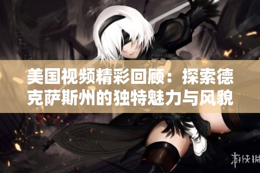 美国视频精彩回顾：探索德克萨斯州的独特魅力与风貌