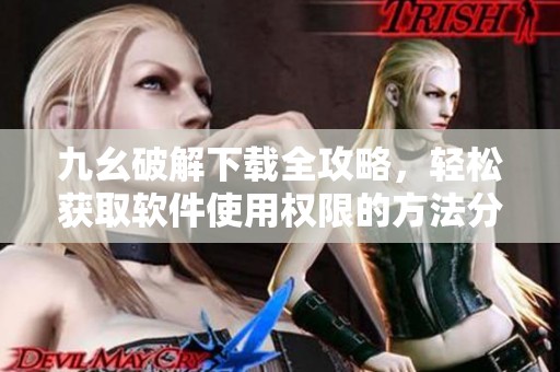 九幺破解下载全攻略，轻松获取软件使用权限的方法分享
