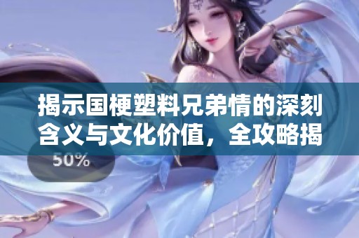 揭示国梗塑料兄弟情的深刻含义与文化价值，全攻略揭秘独特情谊