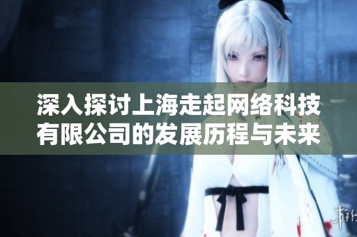 深入探讨上海走起网络科技有限公司的发展历程与未来展望