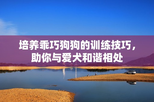 培养乖巧狗狗的训练技巧，助你与爱犬和谐相处