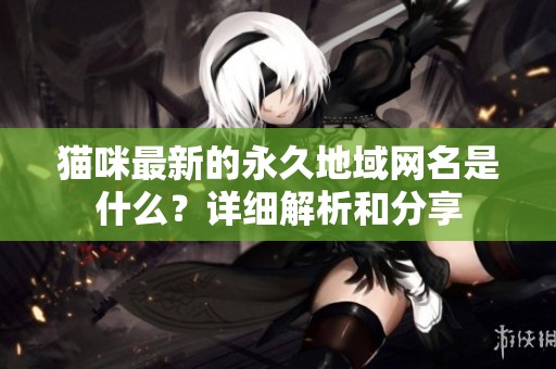 猫咪最新的永久地域网名是什么？详细解析和分享