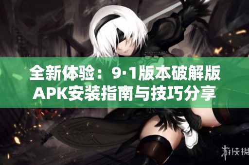 全新体验：9·1版本破解版APK安装指南与技巧分享