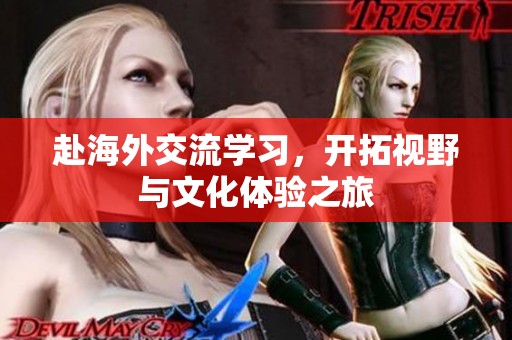 赴海外交流学习，开拓视野与文化体验之旅