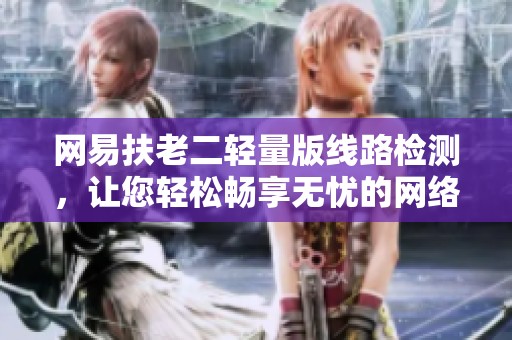 网易扶老二轻量版线路检测，让您轻松畅享无忧的网络体验
