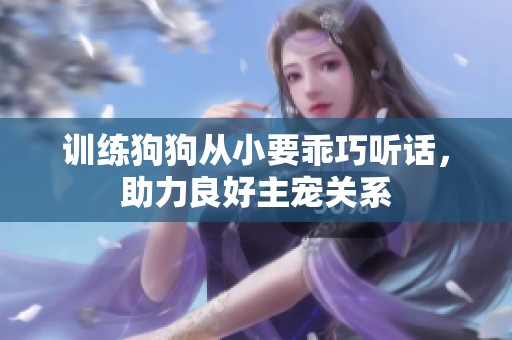 训练狗狗从小要乖巧听话，助力良好主宠关系
