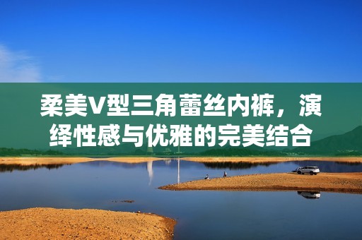 柔美V型三角蕾丝内裤，演绎性感与优雅的完美结合