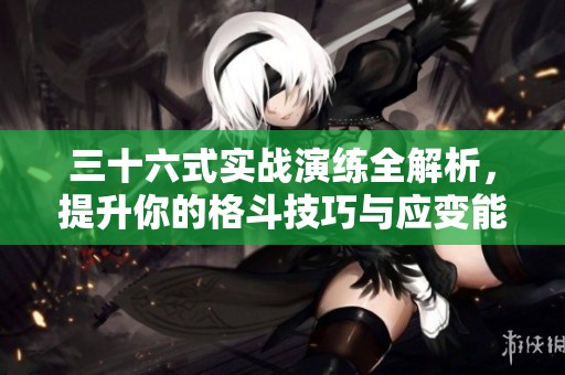 三十六式实战演练全解析，提升你的格斗技巧与应变能力