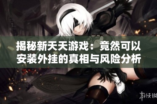 揭秘新天天游戏：竟然可以安装外挂的真相与风险分析