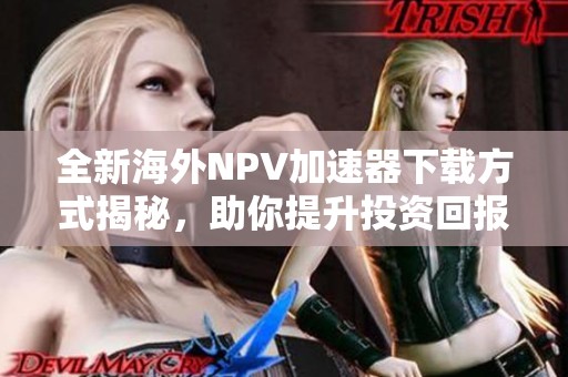 全新海外NPV加速器下载方式揭秘，助你提升投资回报率