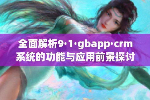 全面解析9·1·gbapp·crm系统的功能与应用前景探讨