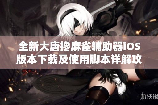 全新大唐搀麻雀辅助器iOS版本下载及使用脚本详解攻略