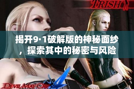 揭开9·1破解版的神秘面纱，探索其中的秘密与风险