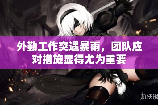 外勤工作突遇暴雨，团队应对措施显得尤为重要