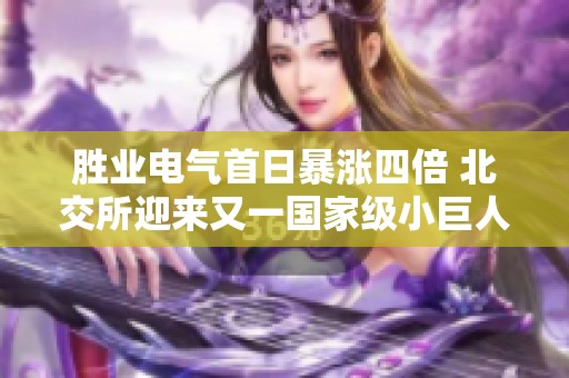 胜业电气首日暴涨四倍 北交所迎来又一国家级小巨人企业