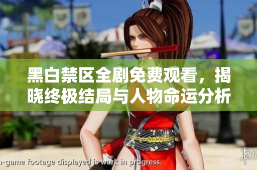 黑白禁区全剧免费观看，揭晓终极结局与人物命运分析