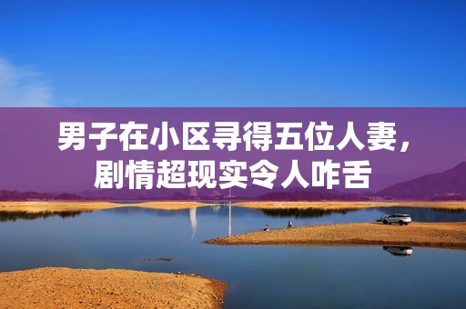 男子在小区寻得五位人妻，剧情超现实令人咋舌