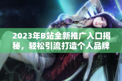 2023年B站全新推广入口揭秘，轻松引流打造个人品牌