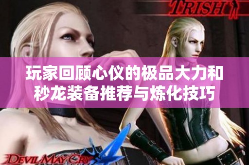 玩家回顾心仪的极品大力和秒龙装备推荐与炼化技巧